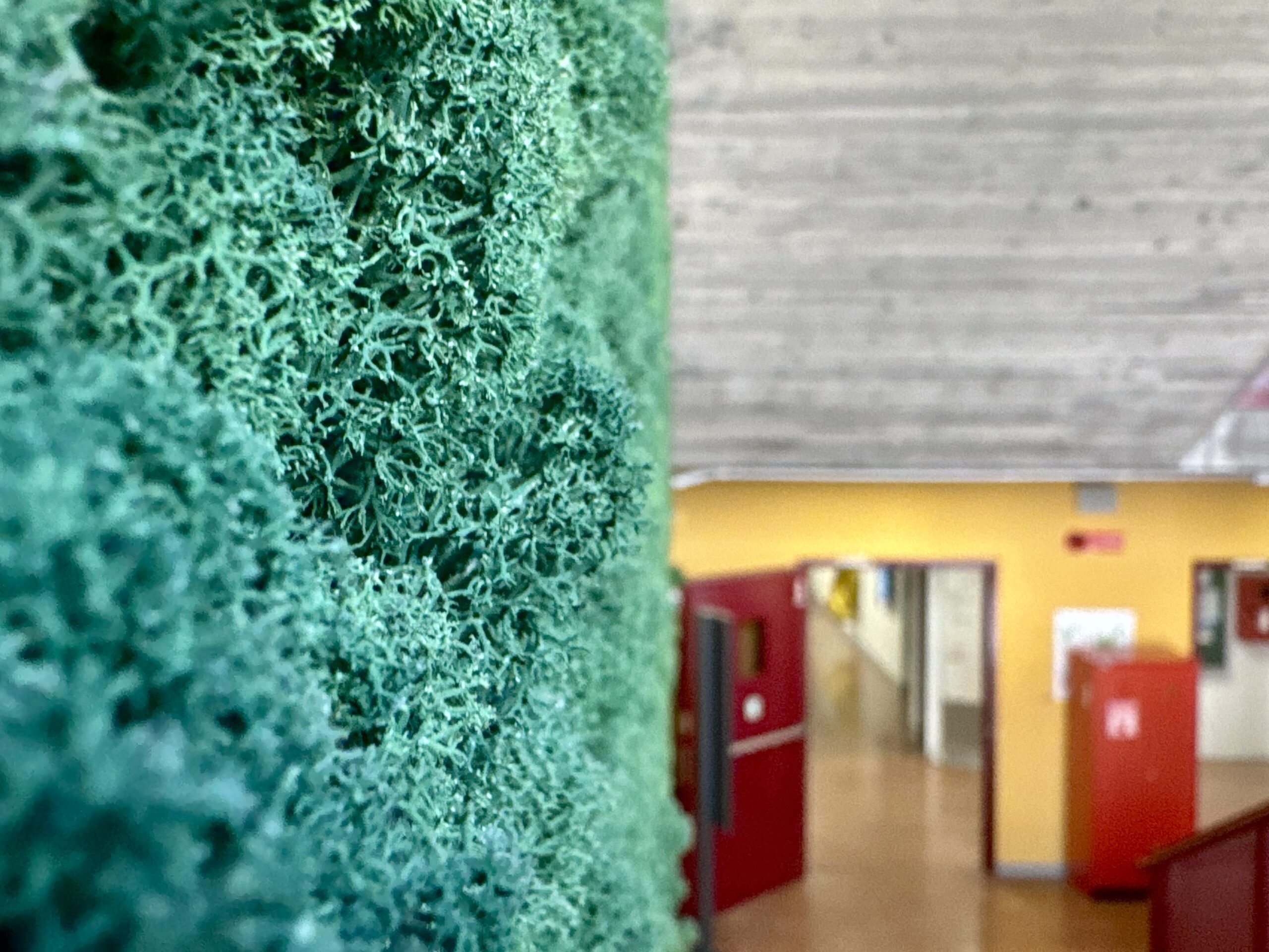 Benessere biofilico